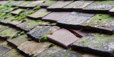 Halstead roof repair costs